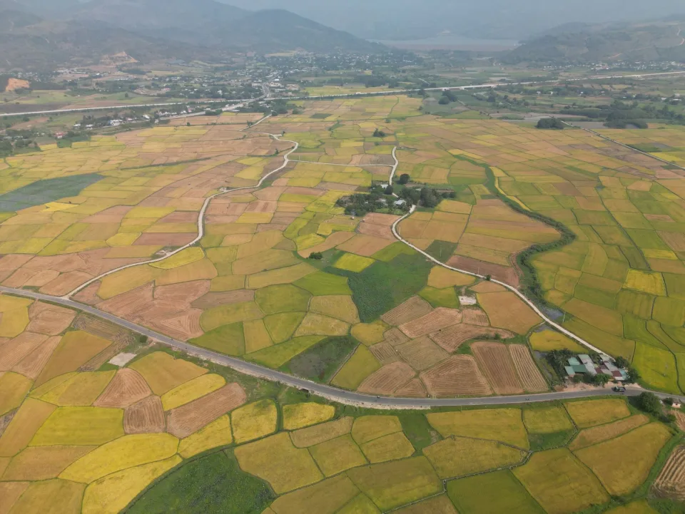 Kho gạo của Nguyễn Thị Thanh